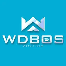 WDBOS - Aplikasi Peta Offline Terpercaya untuk Navigasi